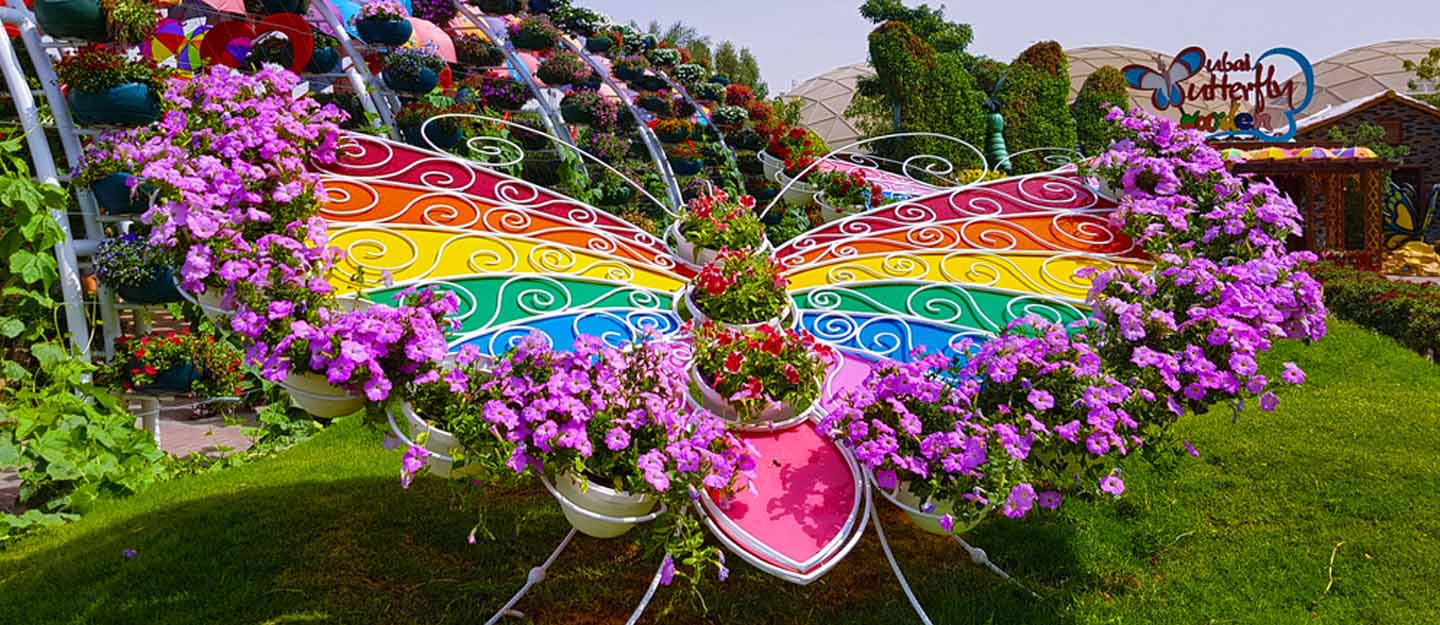 Dubai-Butterfly-Garden_cover_26-Aug-2019