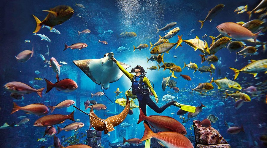 diving