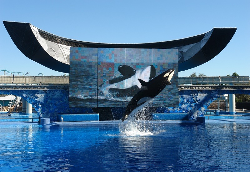 4JhLADCD-seaworld