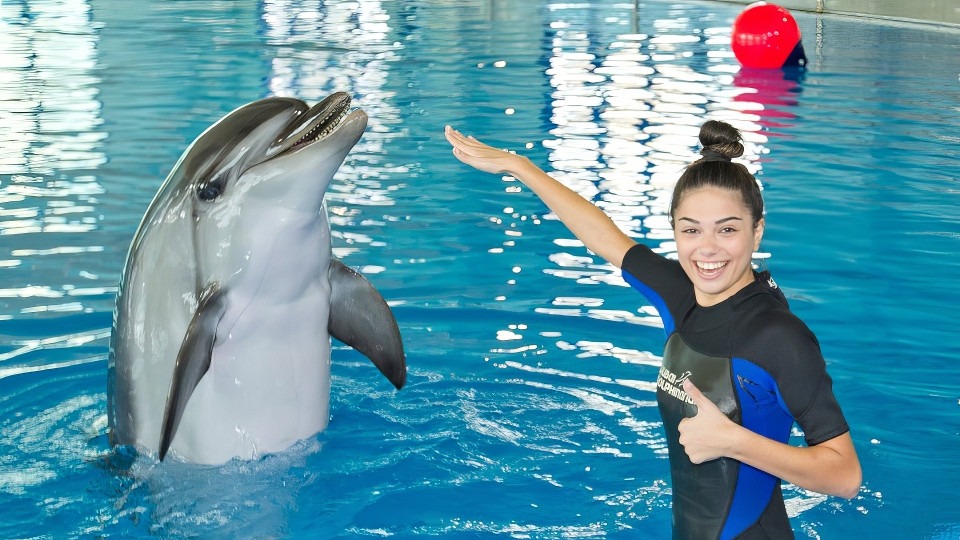 swimming_with_dolphins_dubai_dolphinariu_2018_feb_21_2024_aug_31_dubai_dolphinarium_94017-full-en1723648284