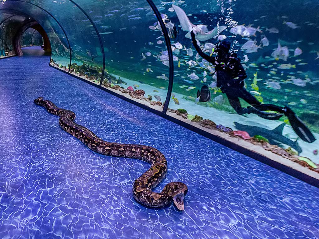 the-national-aquarium-1646889945629